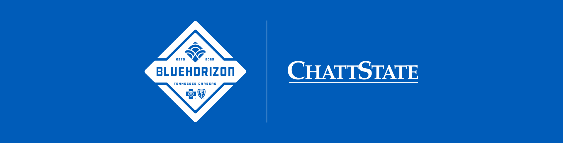 BlueHorizon and ChattState logos BlueHorizon and ChattState logos in white on blue background