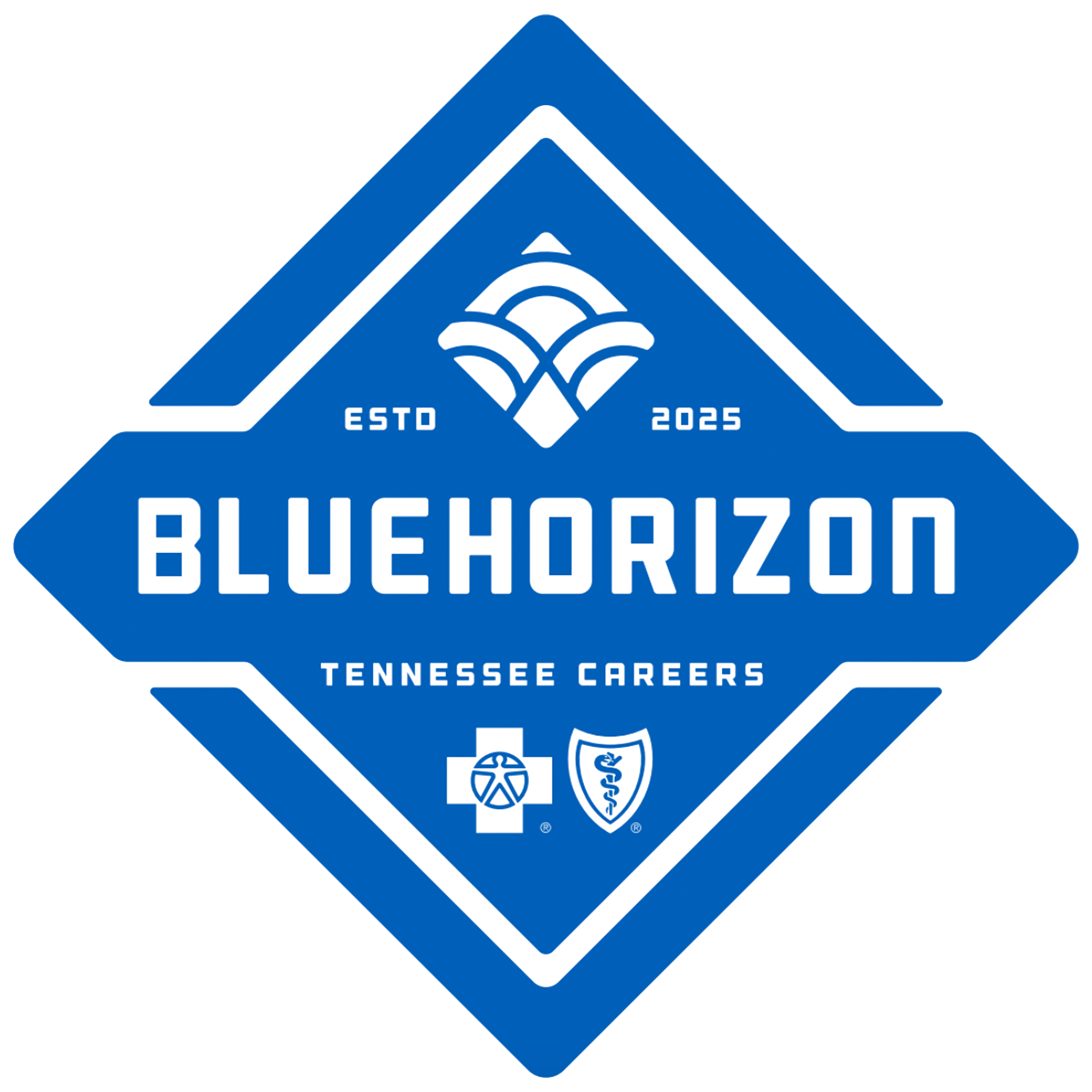 blue BlueHorizon logo