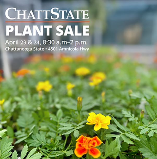 image of yellow flowers, ChattState Plant Sale April 23 & 24, 8:30am to 2pm