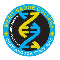 merit badge college