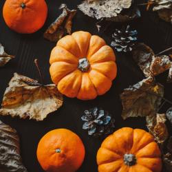 Pumpkins and other squash