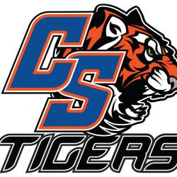 tiger logo