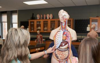 Students examine a model used in Anatomy and Physiology classes. Students examine a model used in Anatomy and Physiology classes.