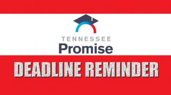 tn promise