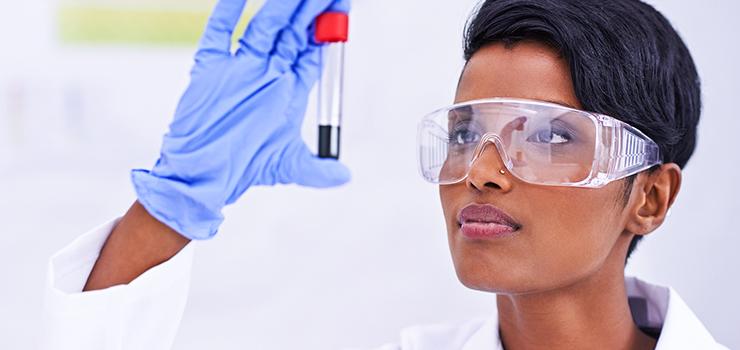 scientist examines a test tube